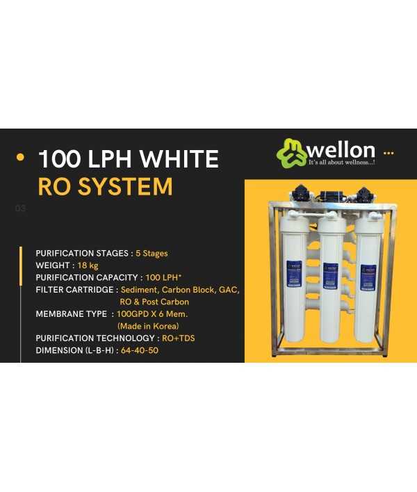 WELLON 100 LPH WHITE RO SYSTEM …